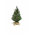 Celebrations 2 ft. Pencil Incandescent 35 ct Christmas Tree TCWT20P00A